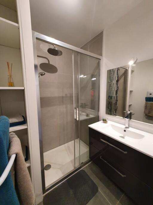 Appartement Centre Ville Au Calme Jardin Et Parking Public La Rochelle  Zewnętrze zdjęcie